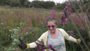 Sue helping to cut back Willow herb